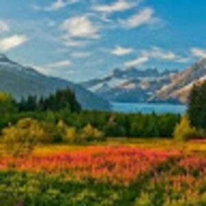 Meet your Posher, Coralee